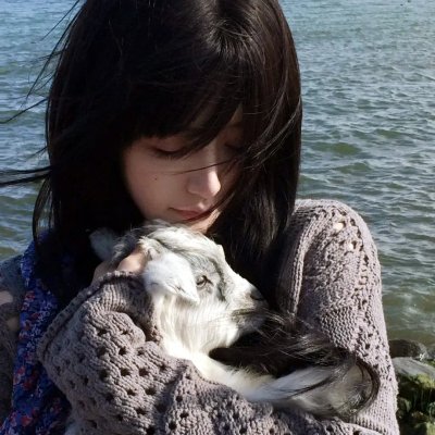 春光猎影 封面