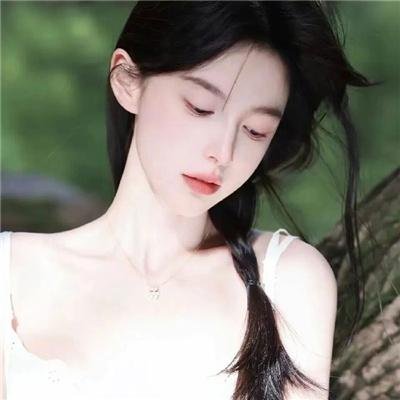 巴里布 封面